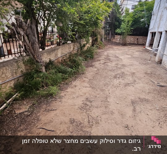 אדמה חשופה עם צמחייה לאורך הגדר